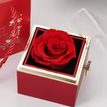 Amouré Eternal Rose Necklace Box